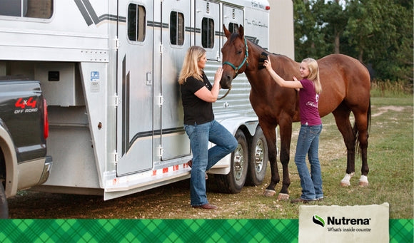 Managing Feeding Programs on the Road for Show Horses