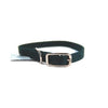 Hamilton Products Nylon Dog Collar with Buckle