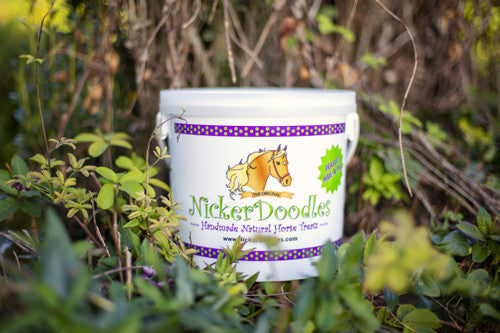 NickerDoodles Horse Treats (5 lb)