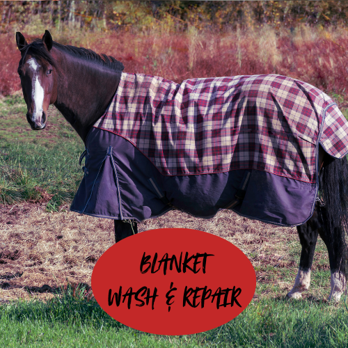 Blanket Wash and Repair