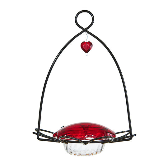 Birds Choice Hummingbird Feeder Flower for Nectar