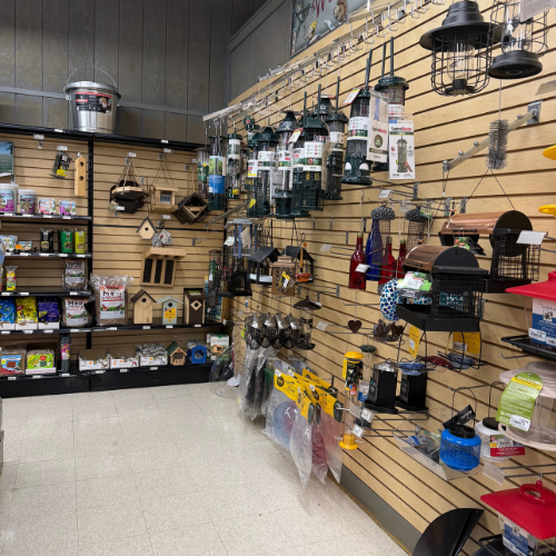 Store display featuring bird feeders, bird houses, suet feeders, hummingbird feeders, seed accessories, and birding supplies mounted on a wall display.