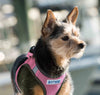 Bay Dog Liberty Bay Dog Harness (XL, Pink)