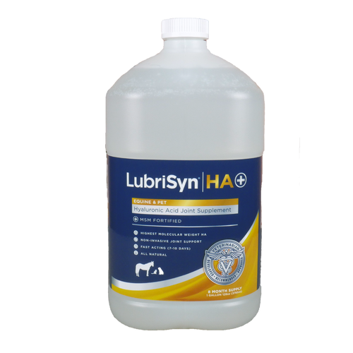 LubriSynHA Plus MSM
