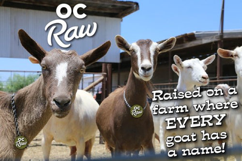 OC Raw Dog Frozen Green Goat Milk