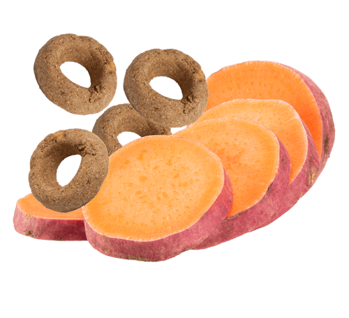 Darford ORGANIC with Sweet Potato Dog Treats