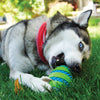 Kong Squeezz Goomz Ball Dog Toy (Large)