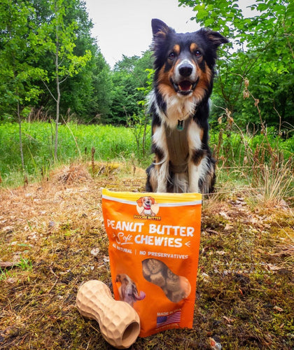 Poochie Butter Peanut Butter Soft Chewies Dog Treats (8 oz)