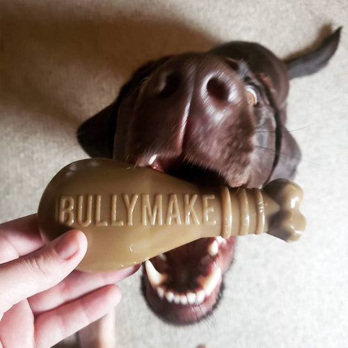 Bullymake Drumstick Nylon Dog Toy For Power Chewers