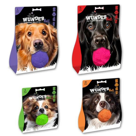 Wacky Walk'r Wunderball - Best Fetch Dog Toy