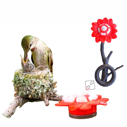 QuackUps Hummingbird Home™ with Nesting Fibers