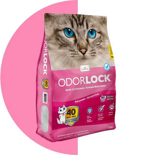 Intersand Odourlock Ultra premium multi-cat litter formula (25 lb - Unscented)