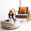 Petmate La-Z-Boy Pumice Buddy Cuddler