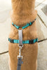 PetSafe 3 in 1 Plum Dog Harness