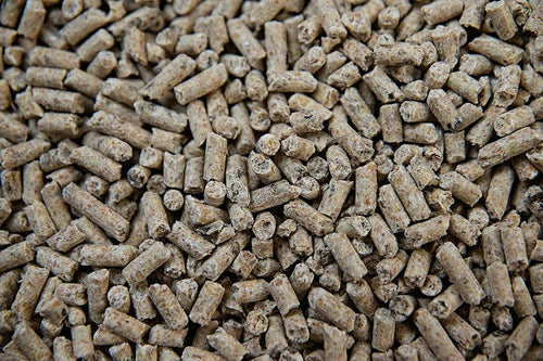 BUCKEYE™ Nutrition Foal Starter