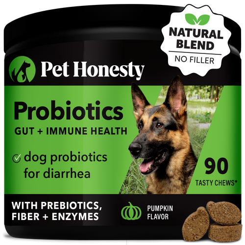 Pet Honesty Probiotics Gut + Immune Health Pumpkin Flavor for Dogs