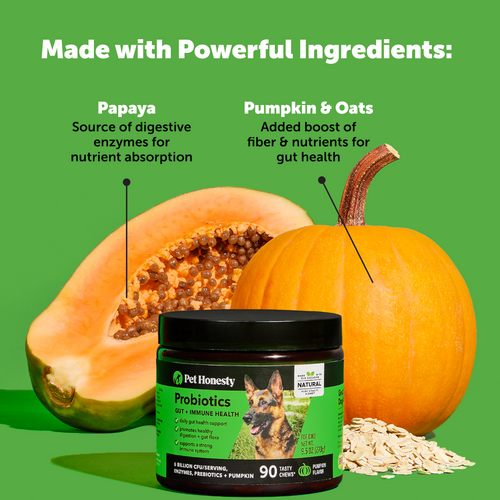 Pet Honesty Probiotics Gut + Immune Health Pumpkin Flavor for Dogs