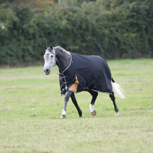 Shires Highlander Plus 200 Standard Neck