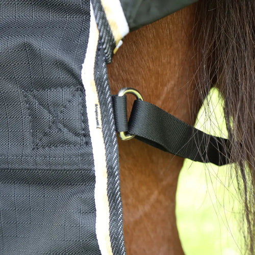 Shires Highlander Plus 200 Standard Neck
