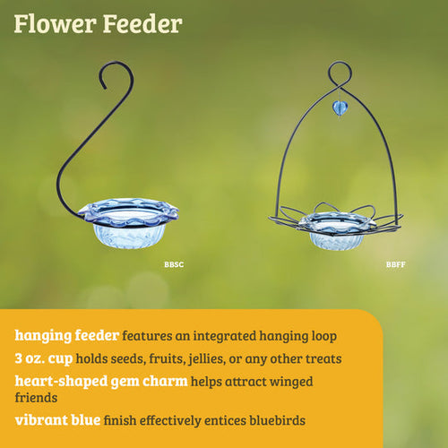 Birds Choice Bluebird Feeder Flower Shape for Mealworms and Dried Fruit