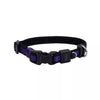Coastal Pet Products Inspire Adjustable Dog Collar