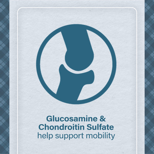 Nutrena® Loyall Life® Large Breed Lamb Meal & Brown Rice Recipe Adult Dog Food