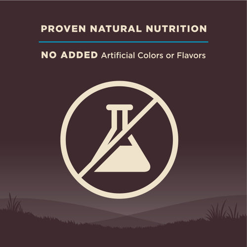 Wellness CORE Natural Grain Free Ocean Whitefish, Herring & Salmon Recipe Dry Dog Food