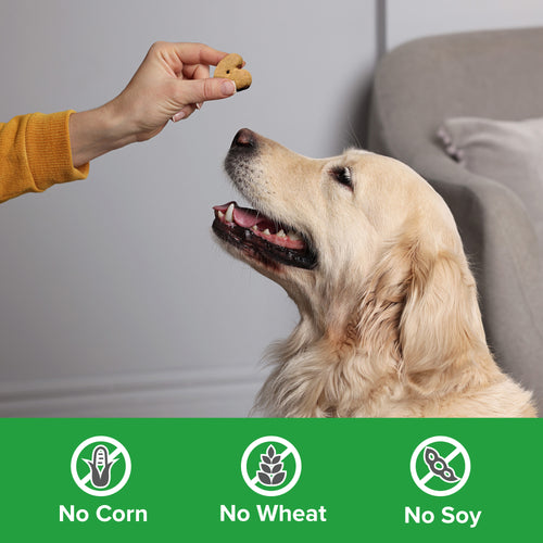 Blue Seal Kent EnTrust Crunchers Happy Health Recipe Large Dog Treats