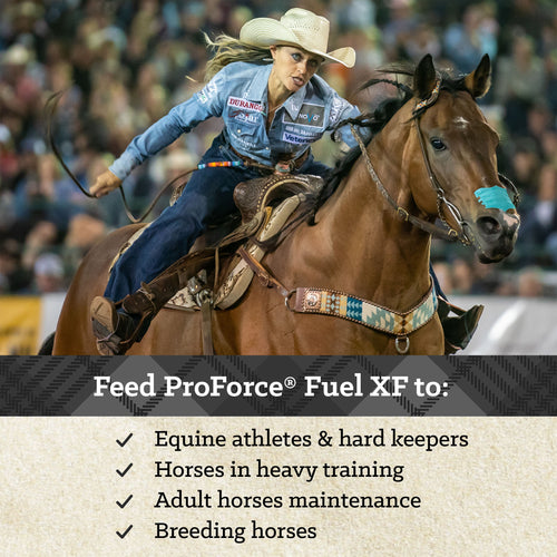 Nutrena® ProForce® Fuel XF Horse Feed