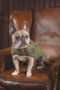 Shires Digby & Fox Tweed Dog Coat