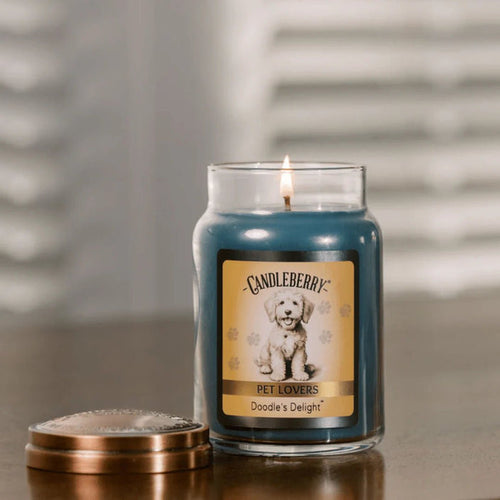Candleberry Doodle's Delight™ - Large Jar Candle