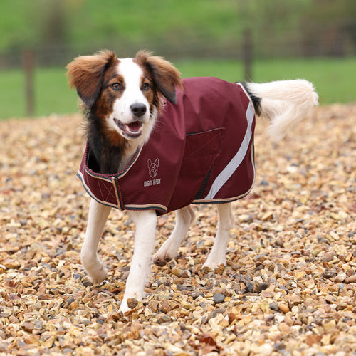 Shires Digby & Fox Lite Waterproof Dog Coat