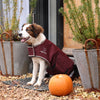 Shires Digby & Fox Lite Waterproof Dog Coat