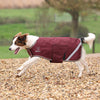 Shires Digby & Fox Lite Waterproof Dog Coat