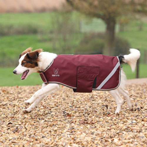 Shires Digby & Fox Lite Waterproof Dog Coat