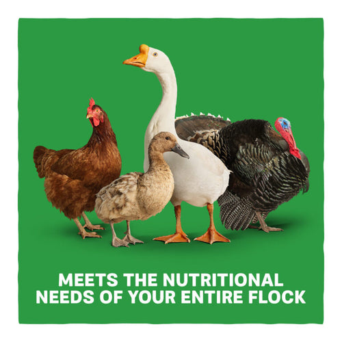 Blue Seal Home Fresh Multi-Flock Chick Starter Grower