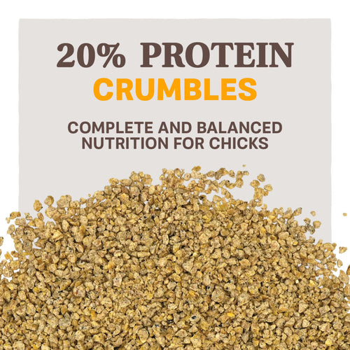 Blue Seal Home Fresh Chick Starter AMP Medicated Crumbles