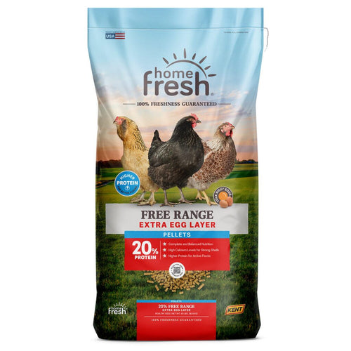 Kent Home Fresh Extra Egg Layer Free Range