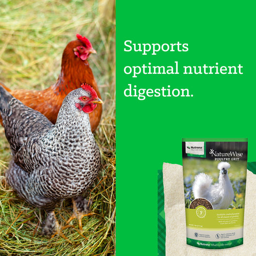 Nutrena® NatureWise® Grit
