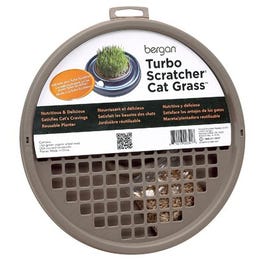 Cat Treat, Turbo Grass