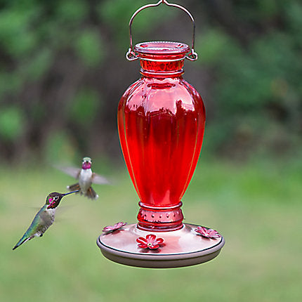 Perky-Pet® Daisy Vase Vintage Hummingbird Feeder - 18 oz Nectar Capacity