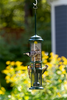 Brome Squirrel Buster Nut Feeder (3/4qts/1.3lbs)