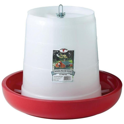LITTLE GIANT Plastic Hanging Poultry Feeder